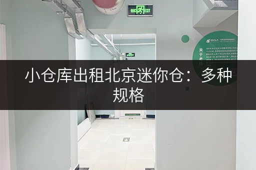 小仓库出租北京迷你仓：多种规格，价格透明，安全放心