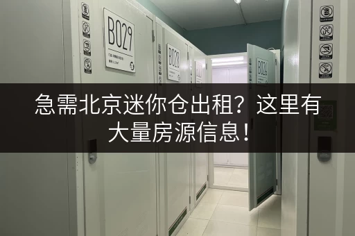 急需北京迷你仓出租？这里有大量房源信息！