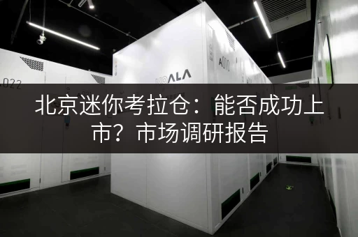 北京迷你考拉仓：能否成功上市？市场调研报告