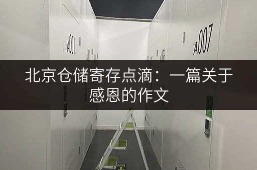 北京仓储寄存点滴：一篇关于感恩的作文