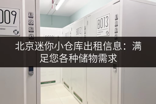 北京迷你小仓库出租信息：满足您各种储物需求