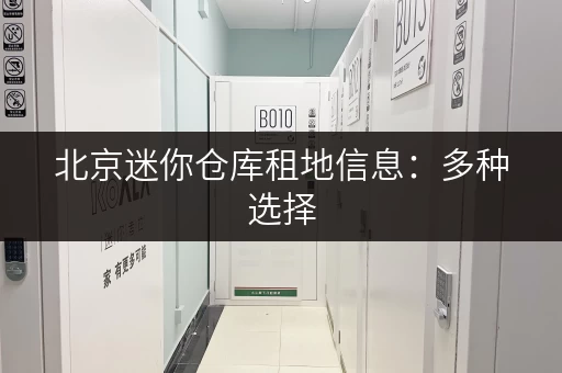 北京迷你仓库租地信息：多种选择，满足您的需求