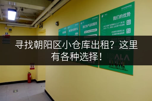 寻找朝阳区小仓库出租？这里有各种选择！