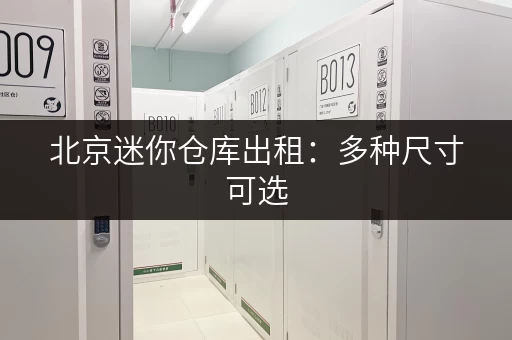 北京迷你仓库出租：多种尺寸可选，安全可靠，拎包入住！