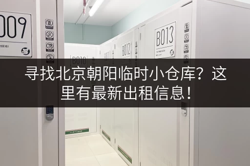 寻找北京朝阳临时小仓库？这里有最新出租信息！