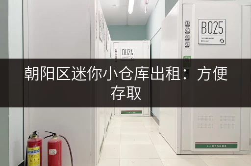 朝阳区迷你小仓库出租：方便存取，安全可靠，适合各种物品！