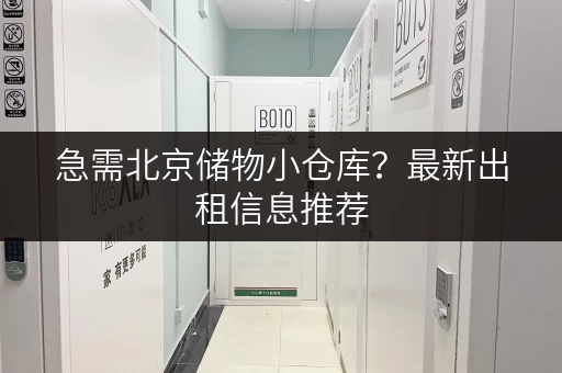 急需北京储物小仓库？最新出租信息推荐