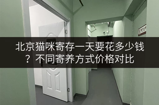 北京猫咪寄存一天要花多少钱？不同寄养方式价格对比