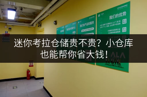 迷你考拉仓储贵不贵？小仓库也能帮你省大钱！