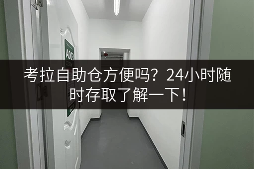 考拉自助仓方便吗?24小时随时存取了解一下! 考拉自助仓方便吗?24小时随时存取了解一下!