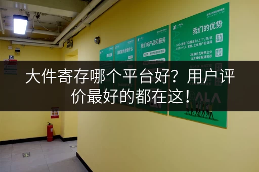 大件寄存哪个平台好？用户评价最好的都在这！