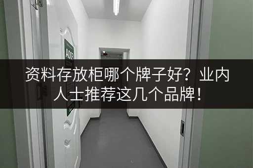 资料存放柜哪个牌子好？业内人士推荐这几个品牌！