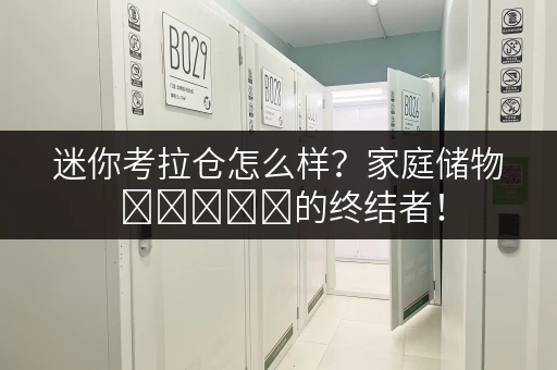 迷你考拉仓怎么样？家庭储物 ಸಮಸ್ಯ的终结者！