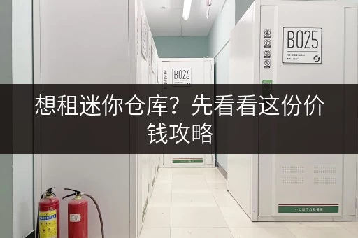 想租迷你仓库？先看看这份价钱攻略，不花冤枉钱！