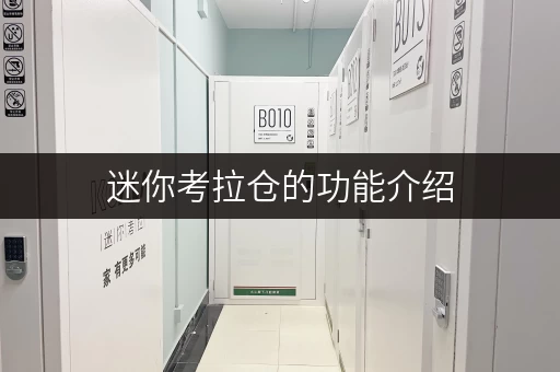 迷你考拉仓的功能介绍，这篇文章全说清楚了！