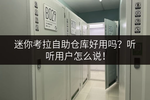 迷你考拉自助仓库好用吗?听听用户怎么说! 迷你考拉自助仓库好用吗?听听用户怎么说!