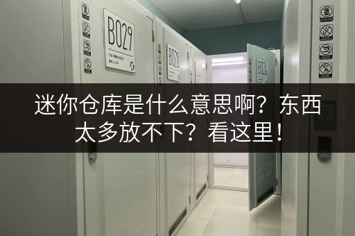 迷你仓库是什么意思啊？东西太多放不下？看这里！