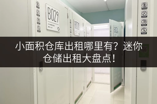 小面积仓库出租哪里有？迷你仓储出租大盘点！