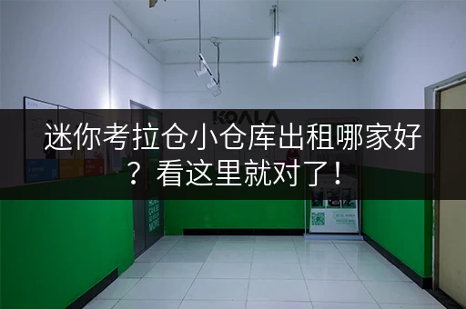 迷你考拉仓小仓库出租哪家好？看这里就对了！