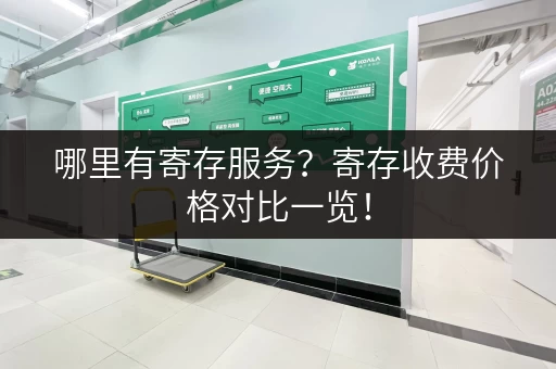 哪里有寄存服务？寄存收费价格对比一览！