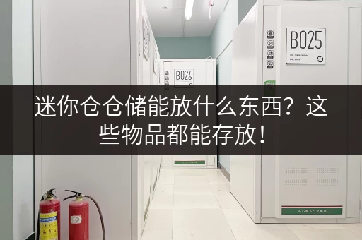迷你仓仓储能放什么东西？这些物品都能存放！