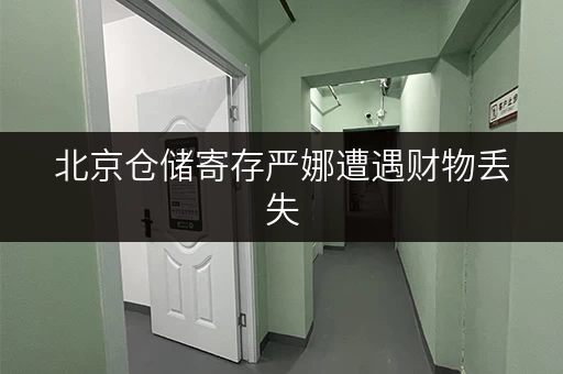 北京仓储寄存严娜遭遇财物丢失，维权之路该如何走？