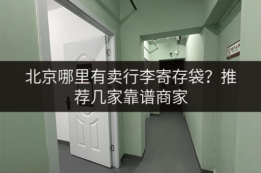 北京哪里有卖行李寄存袋？推荐几家靠谱商家