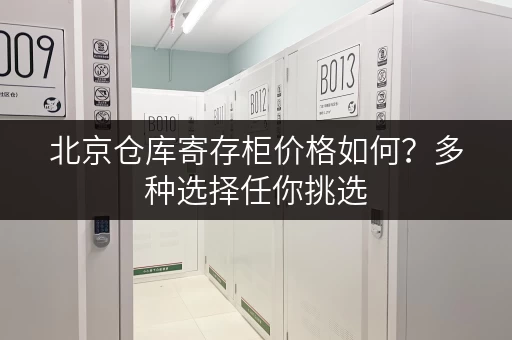 北京仓库寄存柜价格如何？多种选择任你挑选