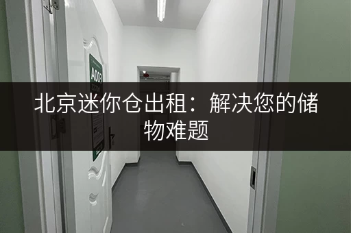 北京迷你仓出租：解决您的储物难题，多种区域选择