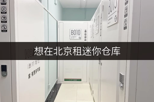想在北京租迷你仓库，费用大概是多少？