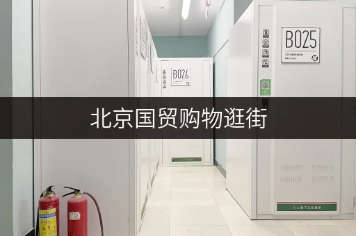 北京国贸购物逛街，行李寄存方便吗？有寄存箱吗？