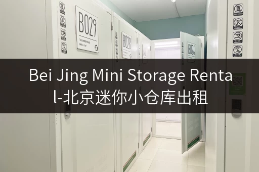 Bei Jing Mini Storage Rental-北京迷你小仓库出租