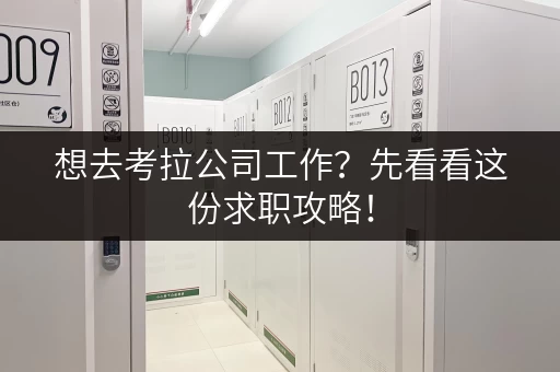 想去考拉公司工作？先看看这份求职攻略！