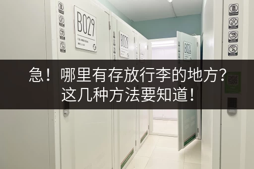 急！哪里有存放行李的地方？这几种方法要知道！