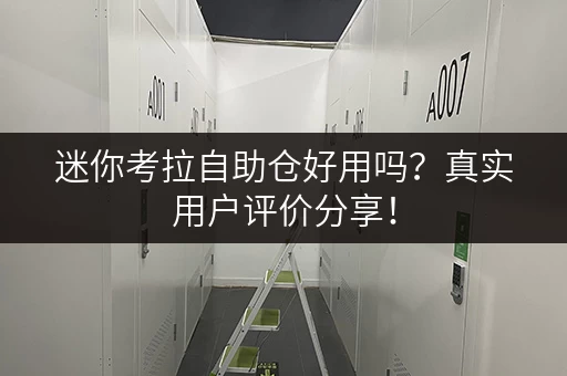 迷你考拉自助仓好用吗？真实用户评价分享！