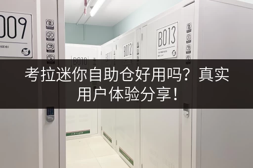 考拉迷你自助仓好用吗？真实用户体验分享！
