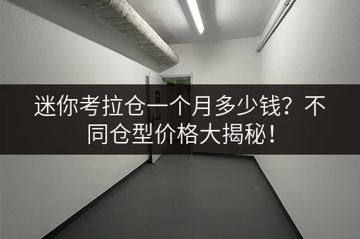 迷你考拉仓一个月多少钱?不同仓型价格大揭秘! 迷你考拉仓一个月多少钱?不同仓型价格大揭秘!