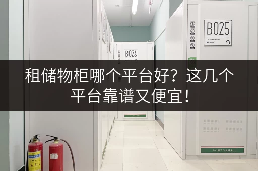 租储物柜哪个平台好？这几个平台靠谱又便宜！