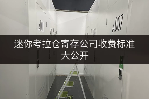 迷你考拉仓寄存公司收费标准大公开，省钱攻略看这里！