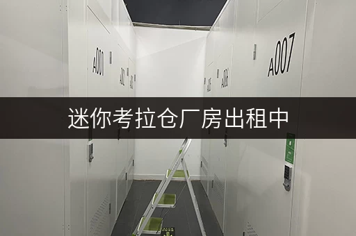 迷你考拉仓厂房出租中,各种大小都有,先到先得! 迷你考拉仓厂房出租中,各种大小都有,先到先得!