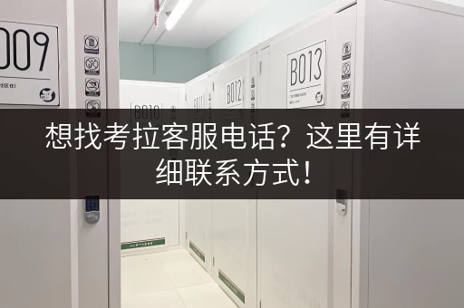 想找考拉客服电话？这里有详细联系方式！