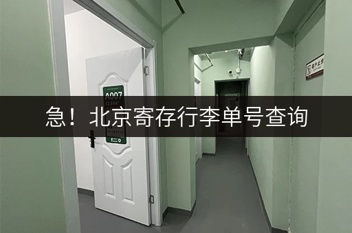 急！北京寄存行李单号查询，如何快速定位？