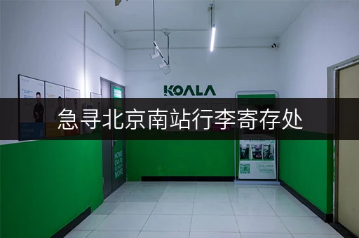 急寻北京南站行李寄存处，有哪些选择和注意事项？