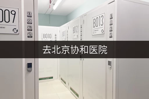去北京协和医院，行李太多怎么办？推荐附近的行李寄存服务