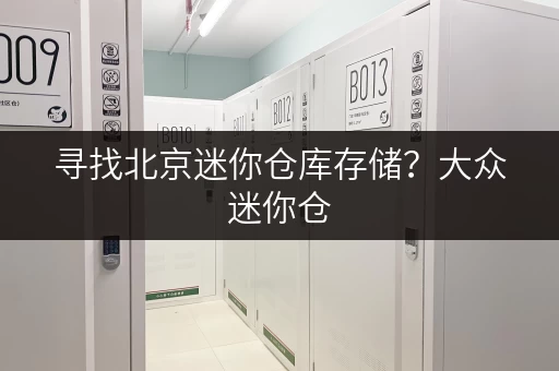 寻找北京迷你仓库存储？大众迷你仓，多种方案，满足您的需求