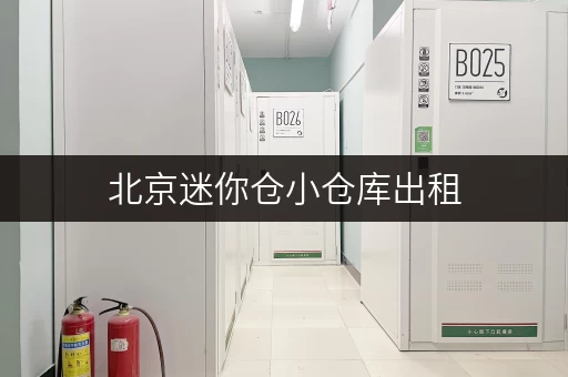 北京迷你仓小仓库出租，安全可靠，随存随取！