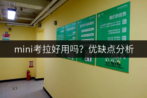 mini考拉好用吗？优缺点分析，看完再决定买不买！