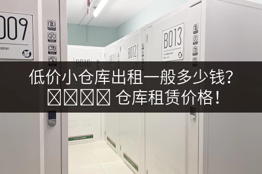 低价小仓库出租一般多少钱？ মিনি 仓库租赁价格！