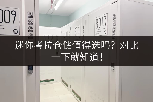 迷你考拉仓储值得选吗？对比一下就知道！
