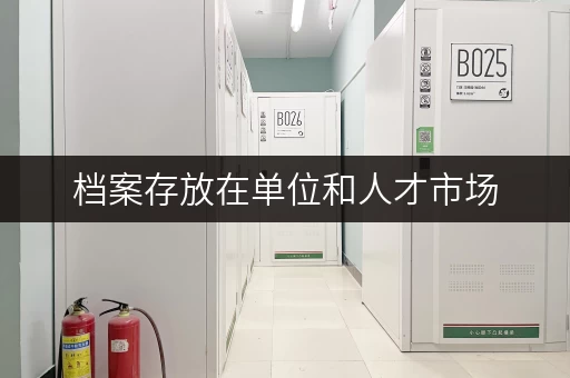 档案存放在单位和人才市场,哪个更好一点? 档案存放在单位和人才市场,哪个更好一点?